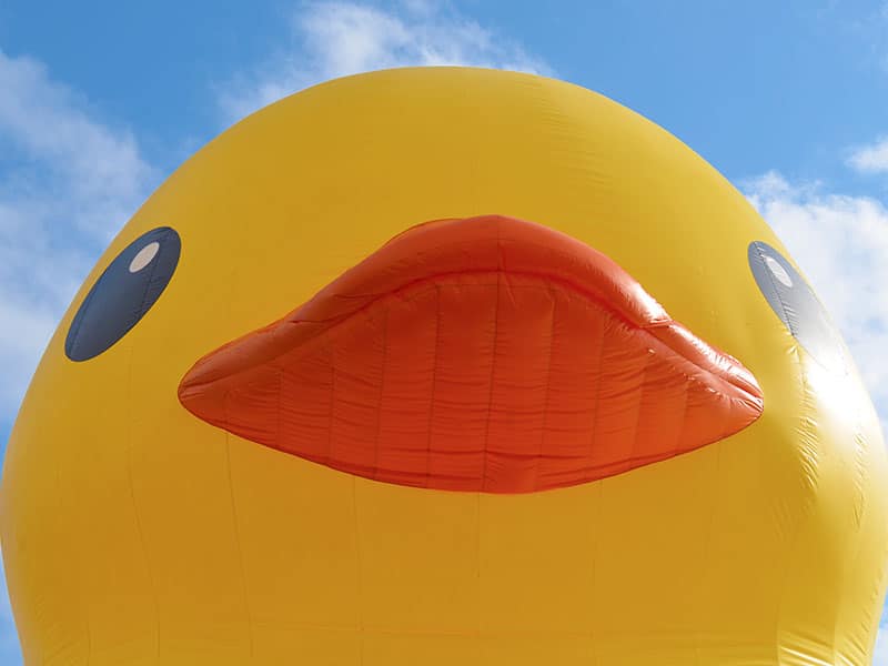 World's Largest Rubber Duck